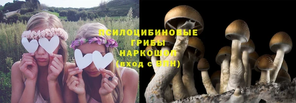 гидропоника Верхнеуральск