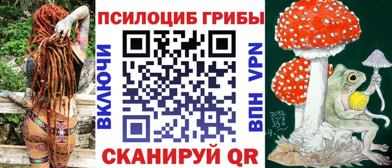 blacksprut ссылки  Истра  Галлюциногенные грибы Magic Shrooms 